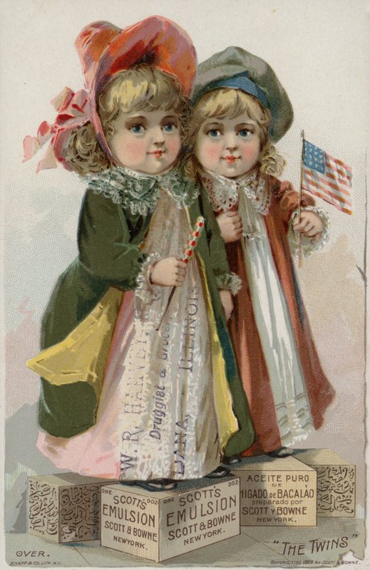 Die Zwillinge von American School