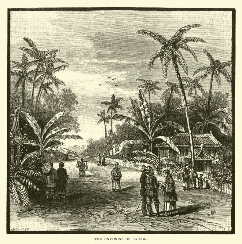Die Umgebung von Saigon von American School