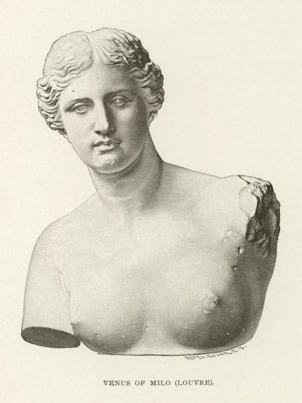 Venus von Milo, Louvre von American School