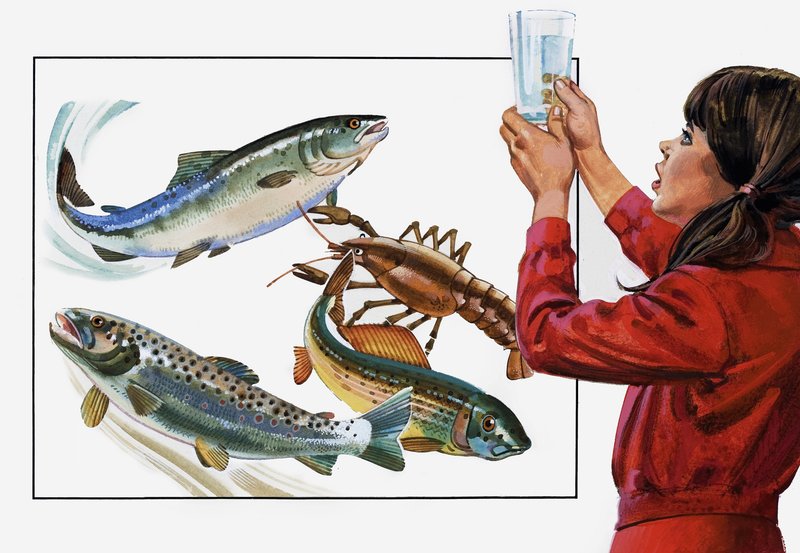 Jetzt ist das Wasser, das gewaschen werden muss! von Andrew Howat