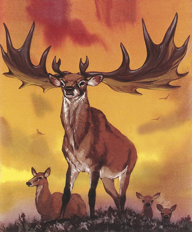 Riesenelch von Angus McBride