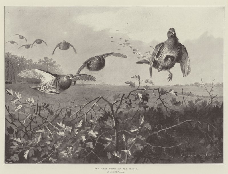 Die erste Fahrt der Saison von Archibald Thorburn