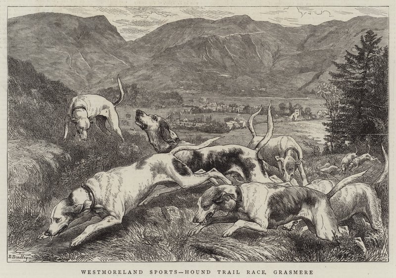 Westmoreland Sports, Hunderennen, Grasmere von Basil Bradley