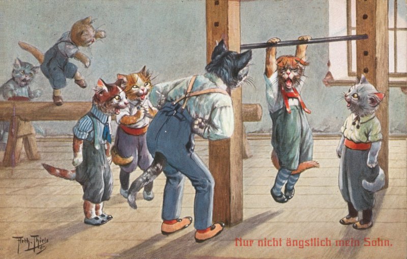 Humorvolle Katzenpostkarte von Carl Robert Arthur Thiele