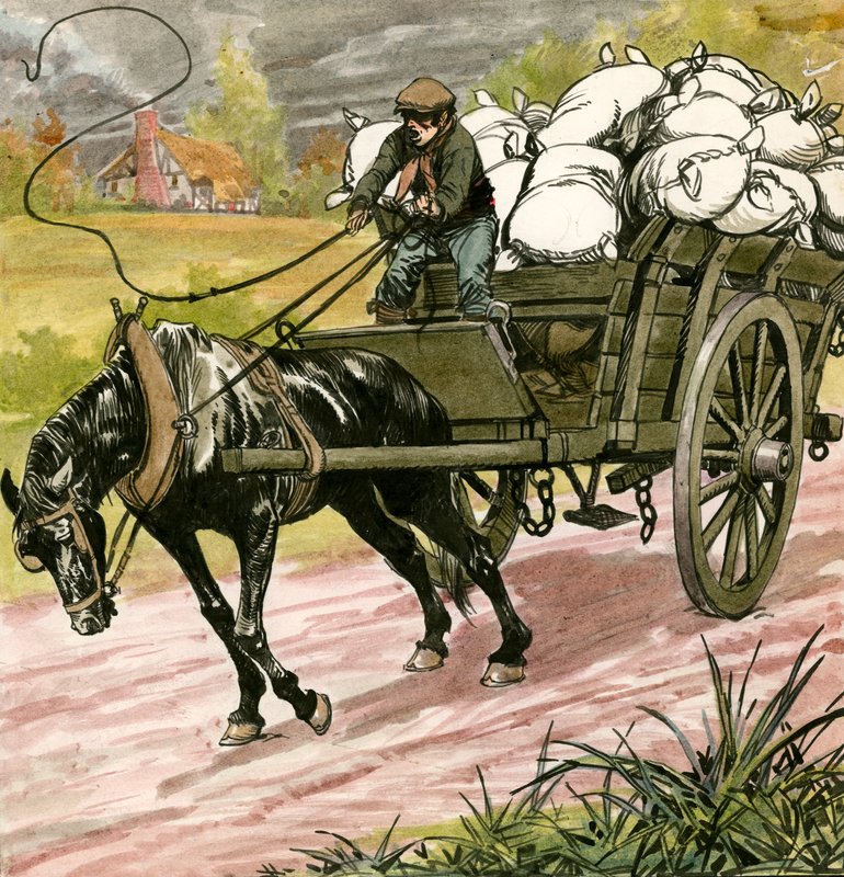 Schwarze Schönheit von Carlos Gabriel Roume