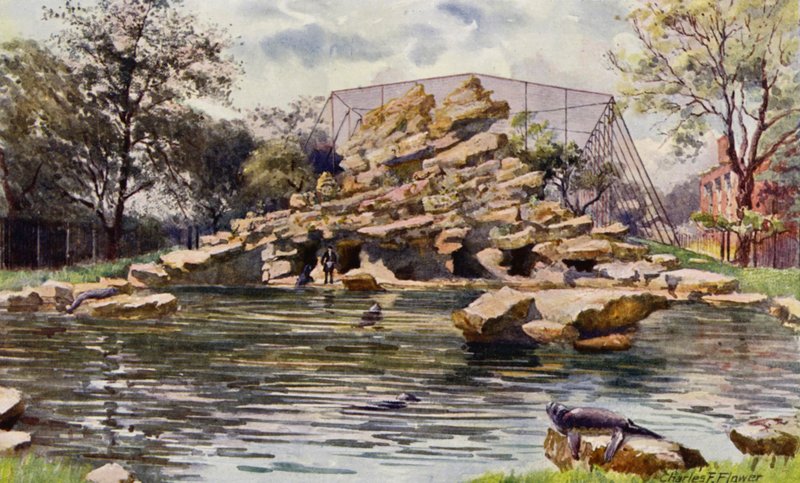 Londoner Zoo: Seelöwenbecken von Charles Edwin Flower