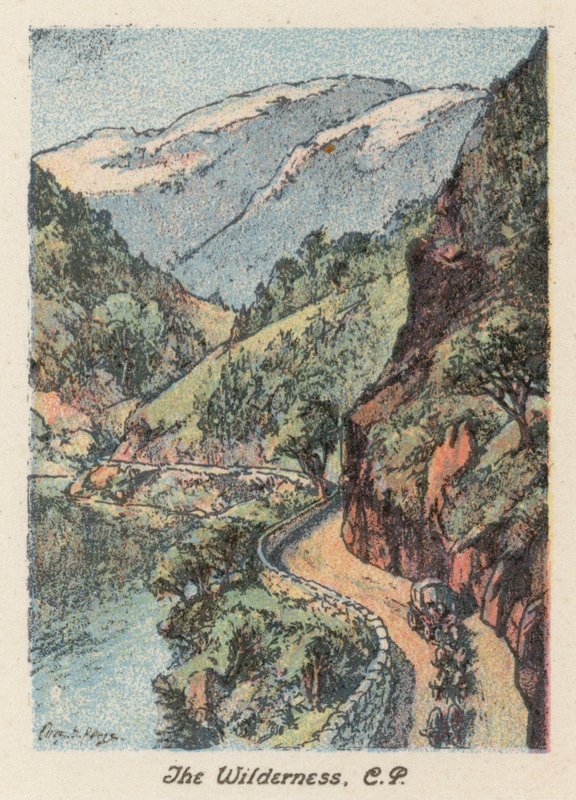 Südafrika: Die Wildnis, CP von Charles Ernest Peers