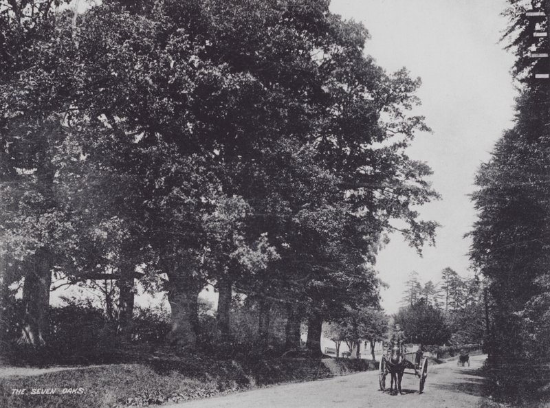 Die Sieben Eichen (s/w Foto) von Charles Essenhigh Corke