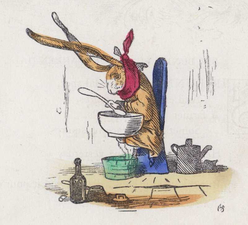 Kaninchen mit einer Erkältung von Charles Henry (after) Bennett