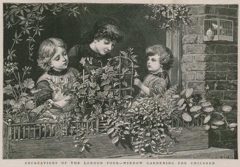 Freizeitbeschäftigungen der Londoner Armen: Fenster-Gartenarbeit für Kinder von Charles J. Staniland