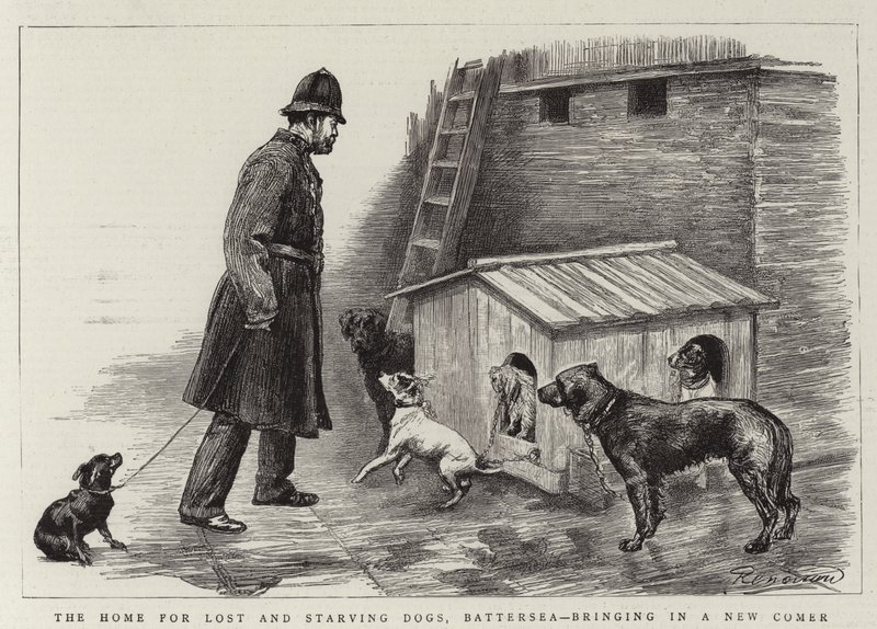Das Heim für verlorene und hungernde Hunde, Battersea, bringt einen Neuling herein von Charles Paul Renouard