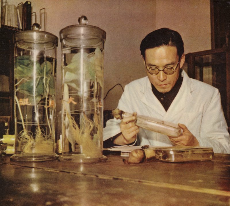 Chinesischer Agrarchemiker vom Changchun Forschungsinstitut, Volksrepublik China, 1950er Jahre von Chinese Photographer
