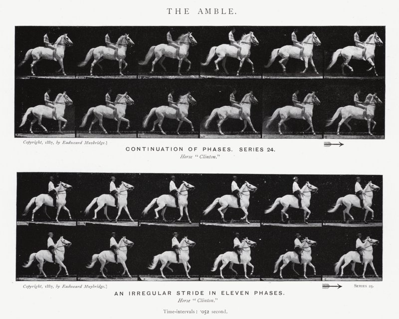 Der Schlendergang von Eadweard Muybridge