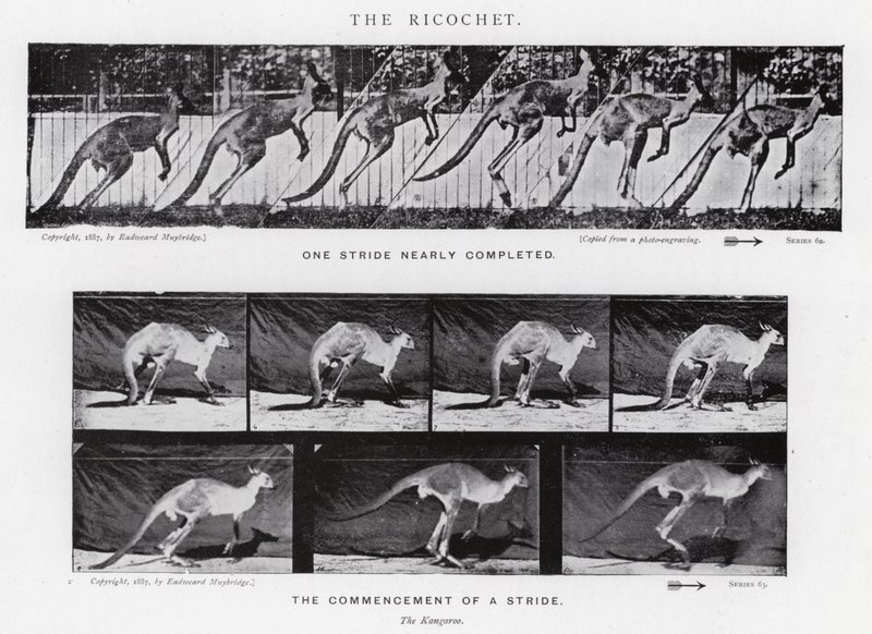 Eadweard Muybridge: Der Abpraller von Eadweard Muybridge