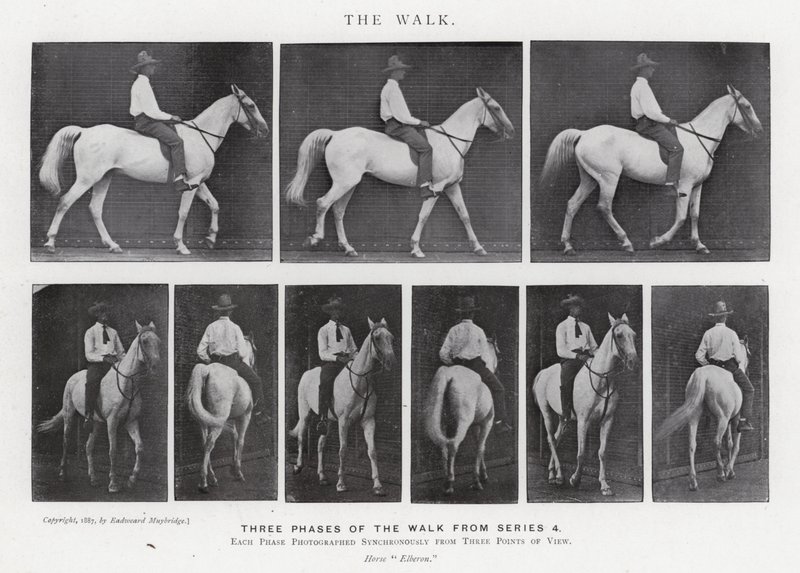 Eadweard Muybridge: Der Gang (s/w Foto) von Eadweard Muybridge