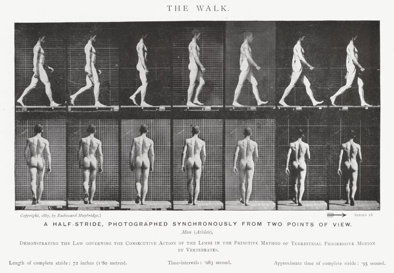 Eadweard Muybridge: Der Gang (s/w Foto) von Eadweard Muybridge