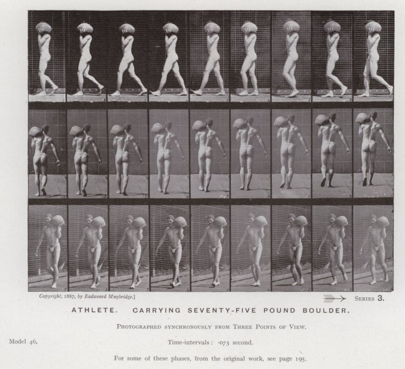 Die menschliche Figur in Bewegung: Athlet, der einen 75-Pfund-Brocken trägt von Eadweard Muybridge