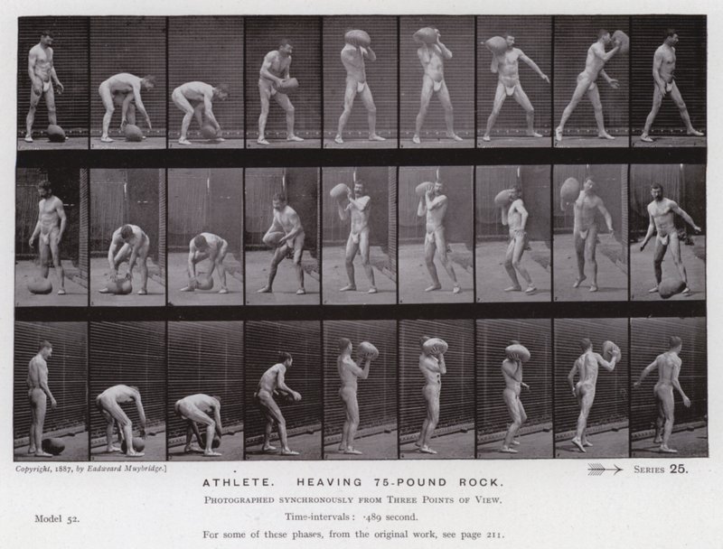 Die menschliche Figur in Bewegung: Athlet, der einen 75-Pfund-Stein hebt von Eadweard Muybridge