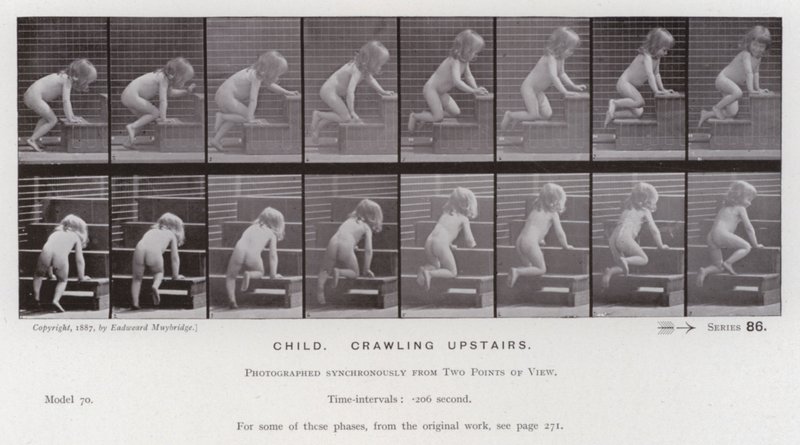 Die menschliche Figur in Bewegung: Kind, das eine Treppe hinaufkrabbelt von Eadweard Muybridge
