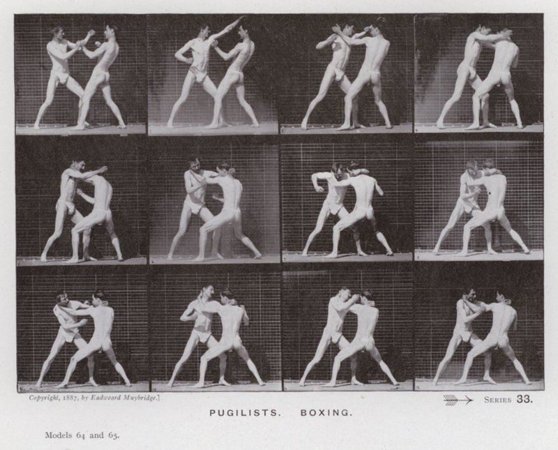Die menschliche Figur in Bewegung: Boxer von Eadweard Muybridge