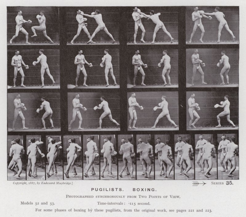 Die menschliche Figur in Bewegung: Boxer, Boxend von Eadweard Muybridge