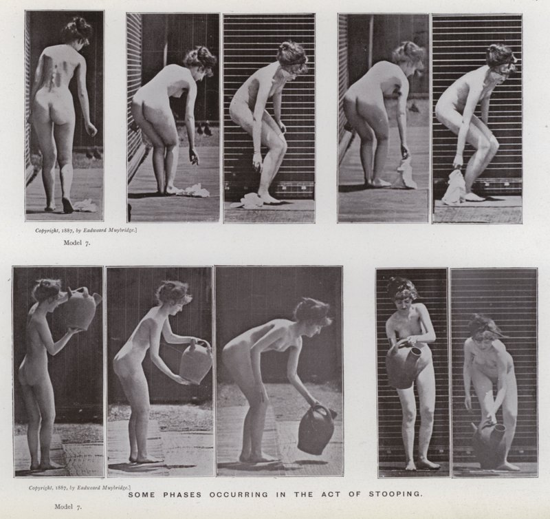 Die menschliche Figur in Bewegung: Einige Phasen beim Bücken von Eadweard Muybridge
