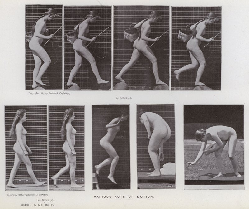 Die menschliche Figur in Bewegung: Verschiedene Bewegungsakte von Eadweard Muybridge