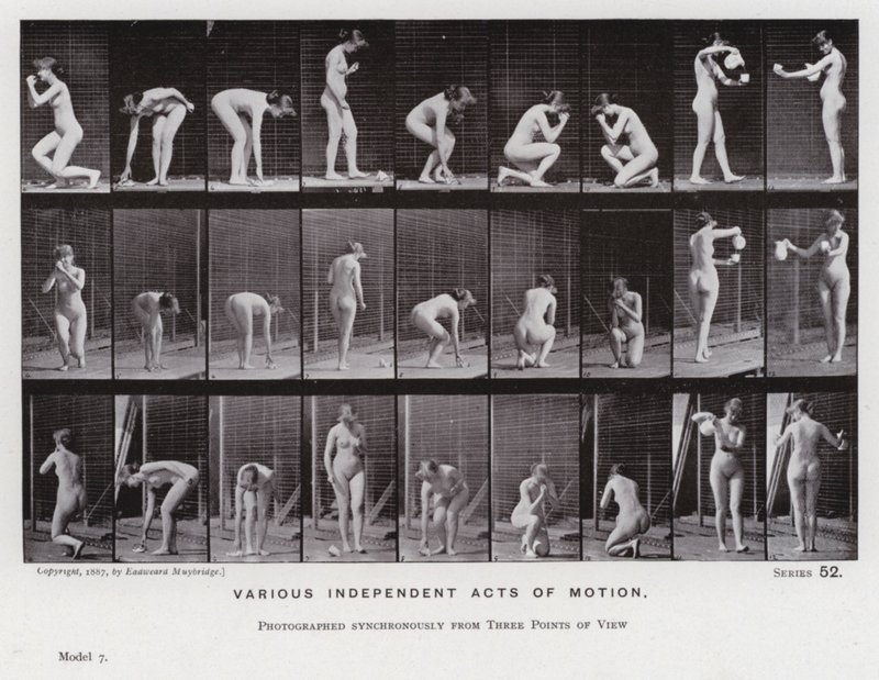 Die menschliche Figur in Bewegung: Verschiedene unabhängige Bewegungen von Eadweard Muybridge