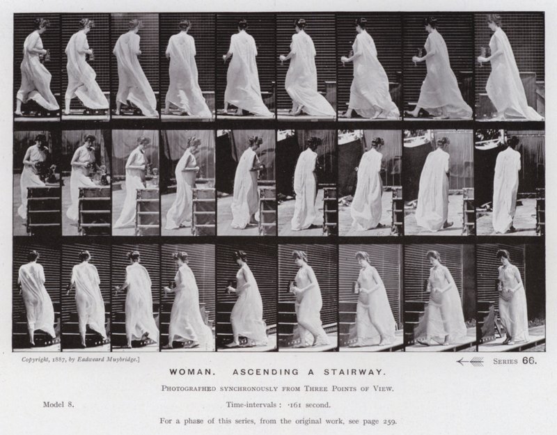 Die menschliche Figur in Bewegung: Frau, eine Treppe aufsteigend von Eadweard Muybridge
