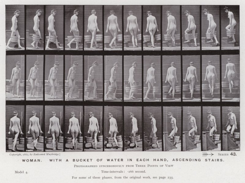 Die menschliche Figur in Bewegung: Frau, mit einem Eimer Wasser in jeder Hand, Treppen aufsteigend von Eadweard Muybridge