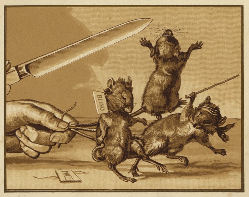 Illustration für Drei blinde Mäuse von Edmund G. Caldwell