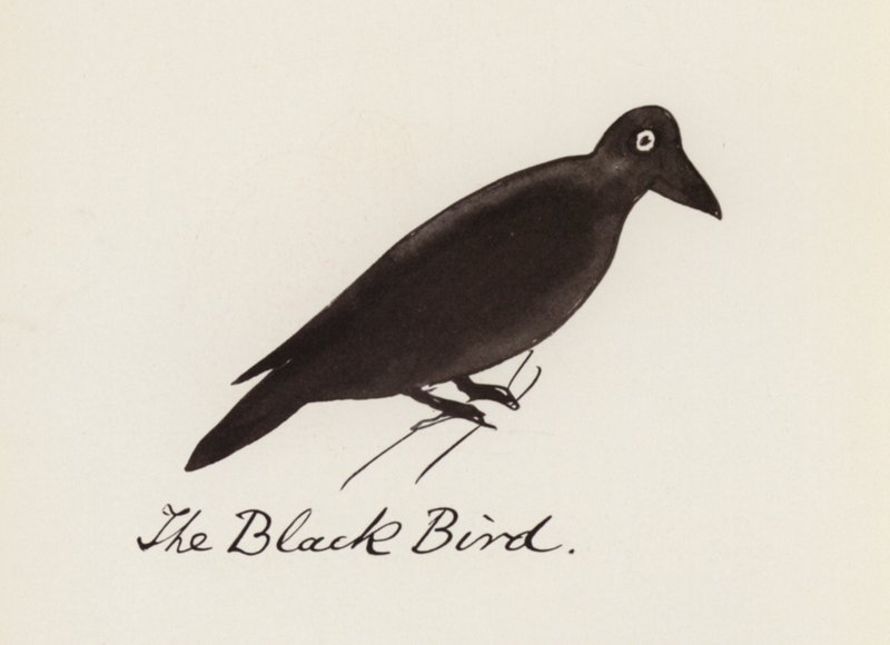 Das Vogelbuch: Der schwarze Vogel von Edward (after) Lear