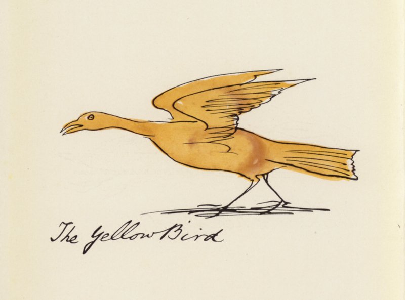 Edward Lear, Das Vogelbuch: Der Gelbe Vogel von Edward (after) Lear