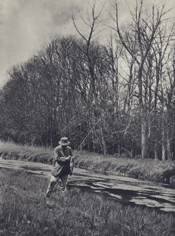 Früher Frühling am Kennet von Edward Alfred Barton