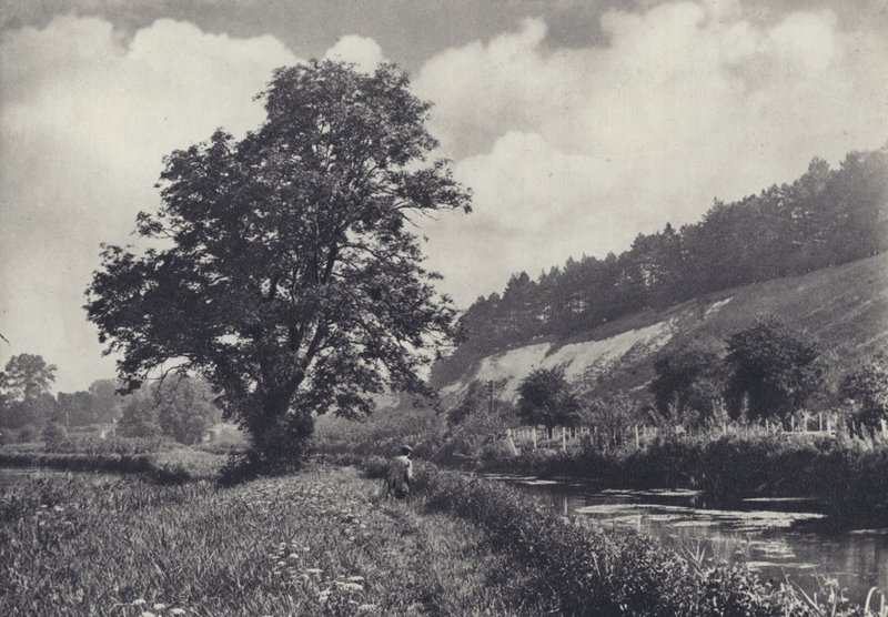 Die große Esche auf dem Hauptträger, Leckford von Edward Alfred Barton