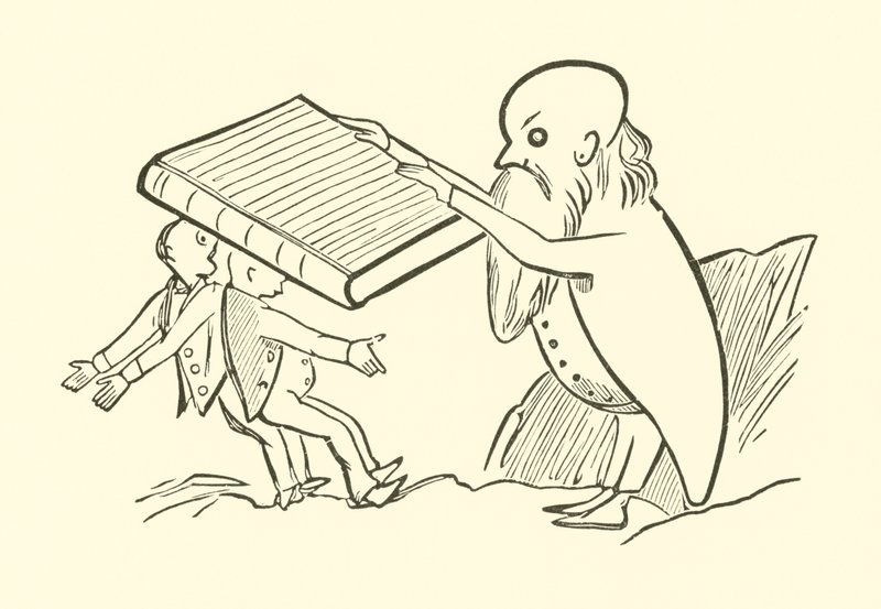 Die zwei alten Junggesellen von Edward Lear