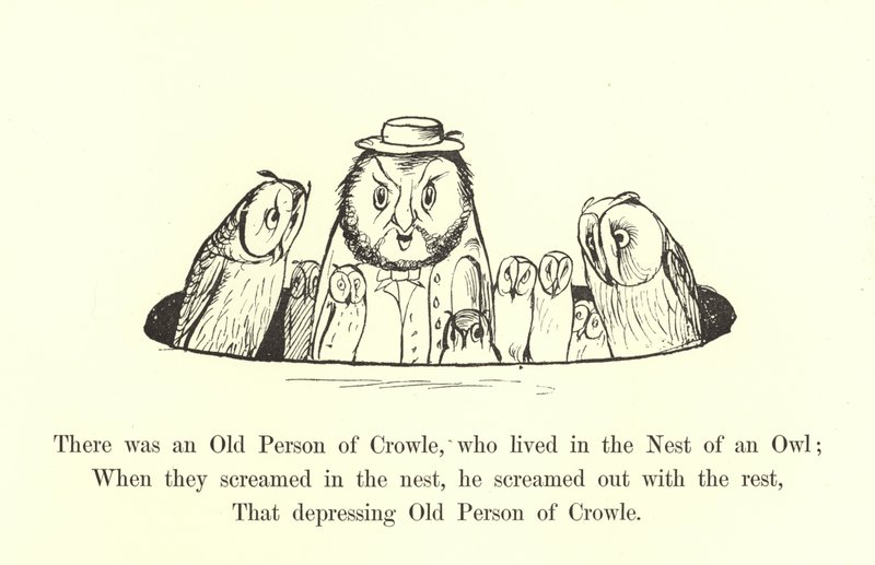 Es war ein alter Mann aus Crowle, der im Nest einer Eule lebte von Edward Lear
