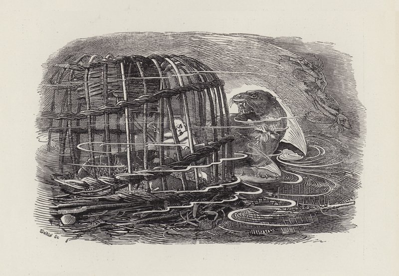 Illustration für Die Wasserbabys von Charles Kingsley von Edward Linley (after) Sambourne