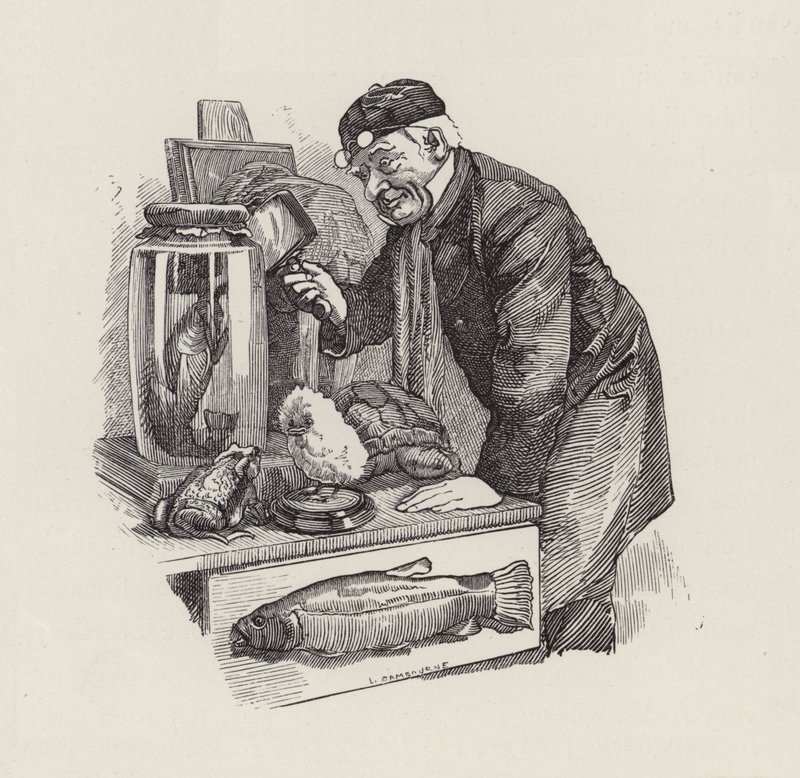 Illustration für Die Wasserkinder von Charles Kingsley von Edward Linley (after) Sambourne