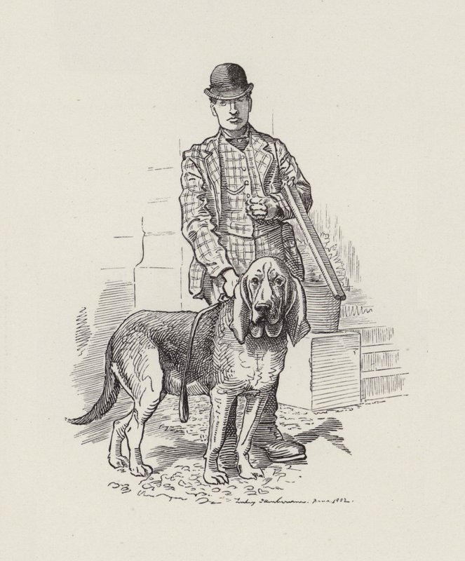 Illustration für Die Wasserkinder von Charles Kingsley von Edward Linley (after) Sambourne