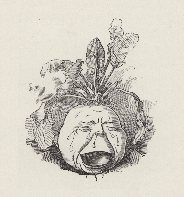Illustration für Die Wasserkinder von Charles Kingsley von Edward Linley (after) Sambourne
