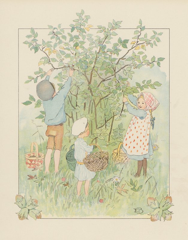 Illustration für Blondchen in Blüten von Elsa Beskow