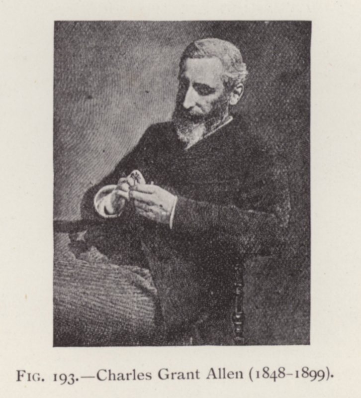 Charles Grant Allen (1848-1899), Porträt von English Photographer