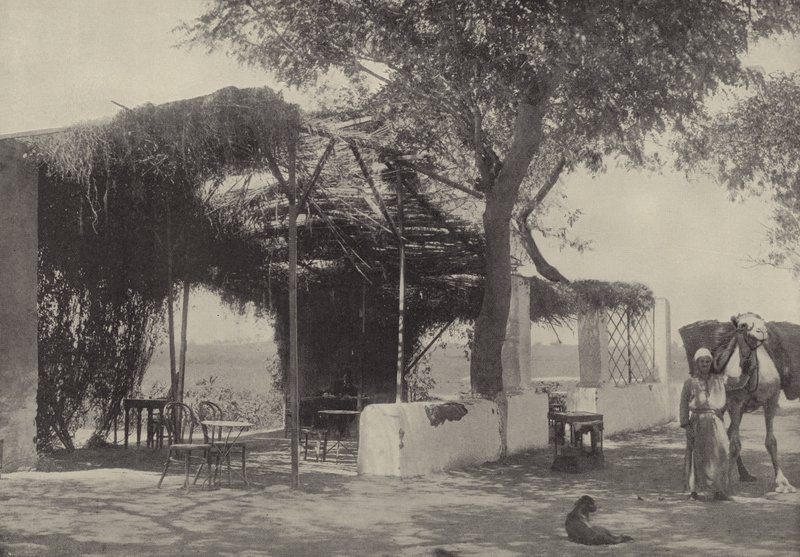 Kaffeehaus im Garten der Jungfrau in Matariyeh, wo Joseph lebte von English Photographer