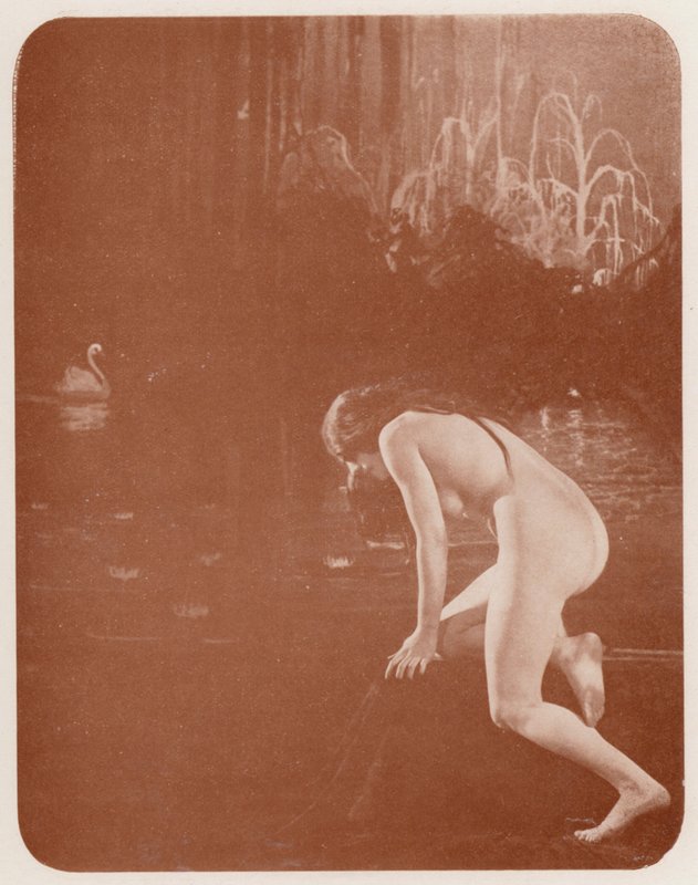 Nudistische Kunst: Seerosen von English Photographer