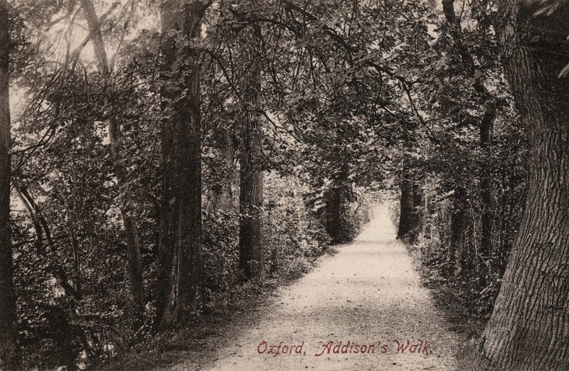 Oxford, Addisons Weg von English Photographer