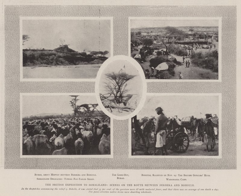 Die britische Expedition nach Somaliland, Szene auf der Route zwischen Berbera und Bohotle von English Photographer