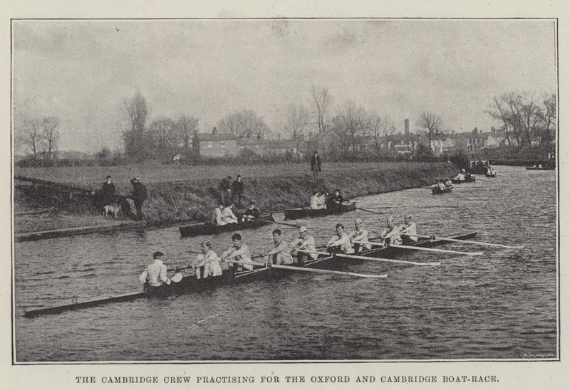 Die Cambridge-Crew übt für das Oxford-Cambridge-Bootsrennen von English Photographer
