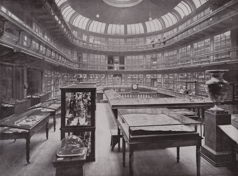 Das Geologische Museum, Piccadilly von English Photographer