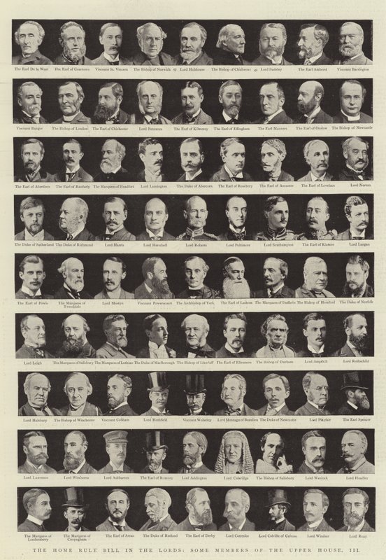 Das Home Rule Gesetz im Oberhaus, einige Mitglieder des Oberhauses, III von English Photographer